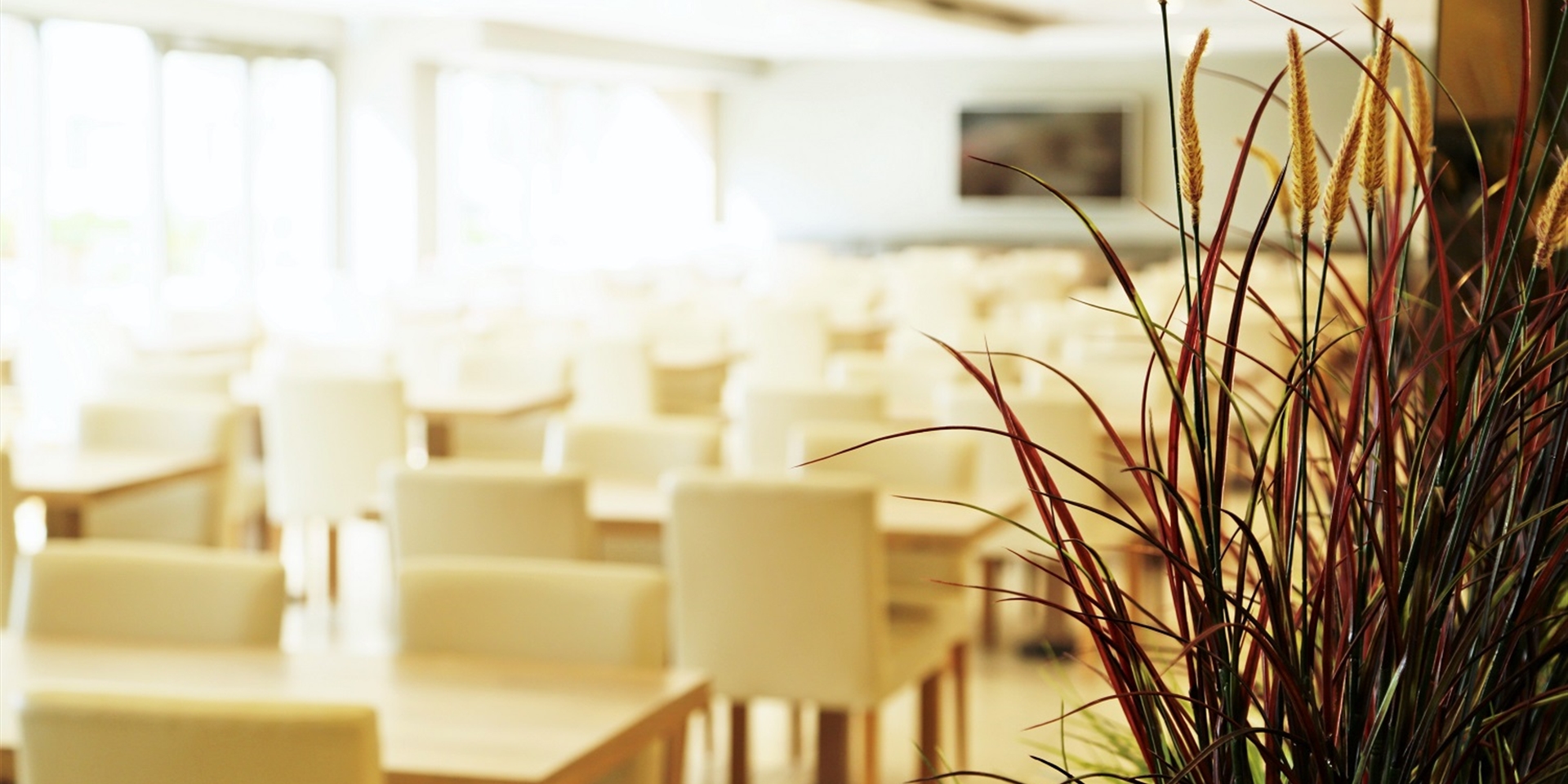 restorancafe3.jpg